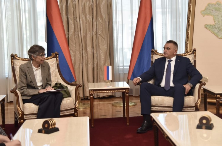 Предсједник Владе Републике Српске Саво Минић разговарао са шефицом посматрачке мисије ОЕБС-а Таном де Зулуета